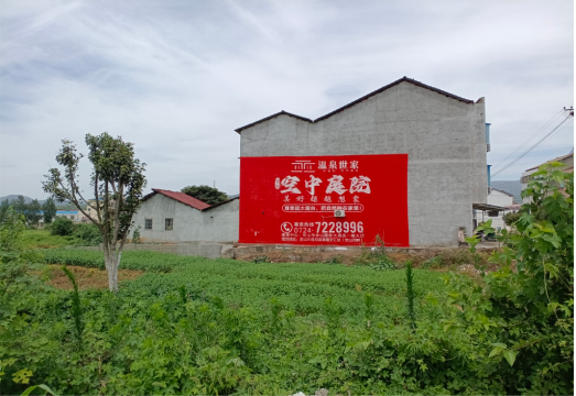云龙做墙体广告的意义