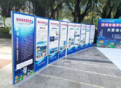 云龙KT板的种类和知识。